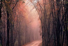 关于穆雷与80激战MAD分钟巴特勒在IG比赛中逆转，这操作让人直呼：今晚英超焦点战的信息金年会官方网站